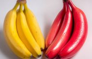 Red Banana vs Yellow Banana: Which is healthier? Full nutrition comparison of taste, benefits, and daily use