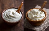 Yogurt vs Curd: Key Difference Between Bacterial Strains Explained